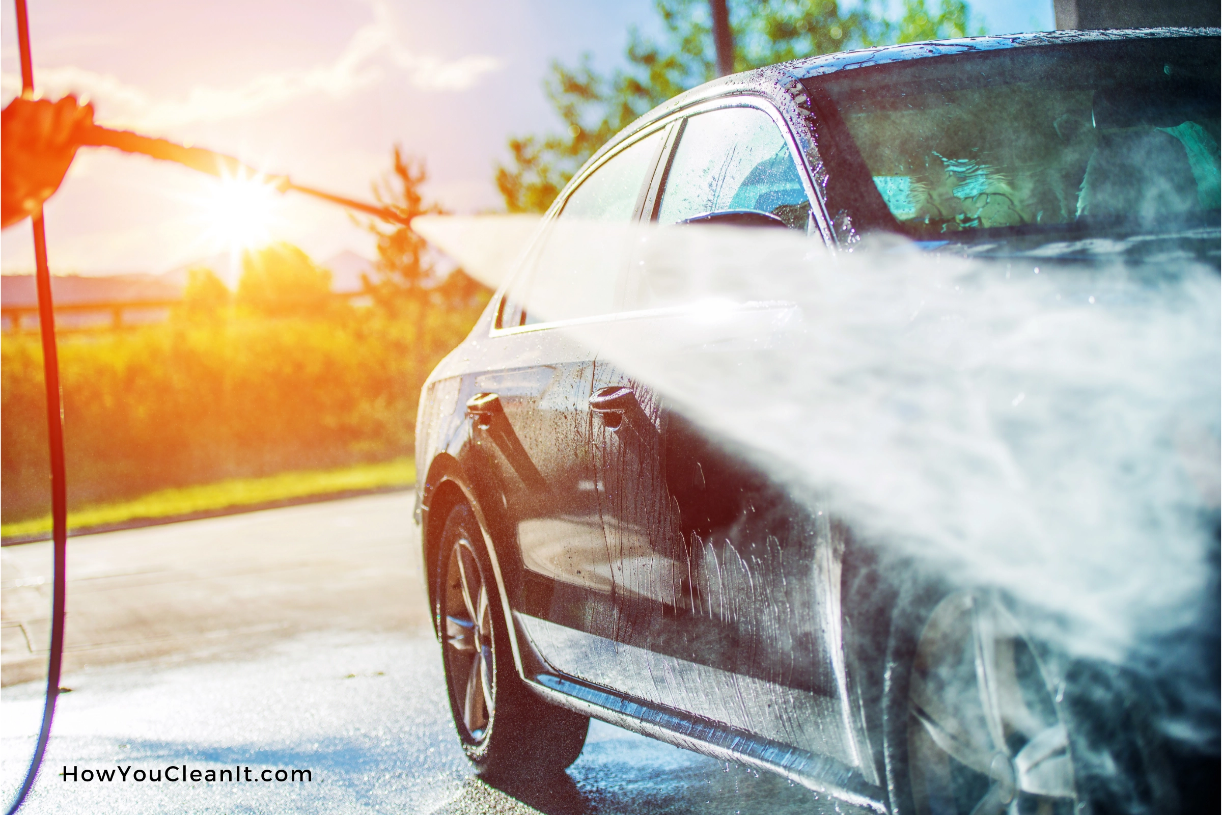 how to remove mold from car exterior
